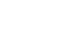 berluti logo